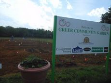 75 gardeners began planting Greer Community Garden today at the site of the former Woodland Elementary School. One 10-by-16 foot plot will feed one family vegetables for the summer.
