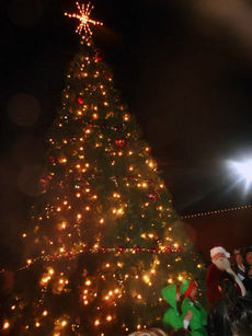 Greer's Christmas tree was lit tonight to signal the official countdown to Christmas.