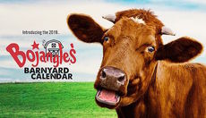 Bojangles' will produce a 2019 free calendar in a digital format and food coupons.
 