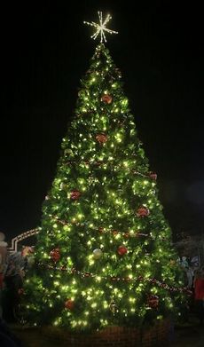 The City Christmas Tree was lit Friday night.