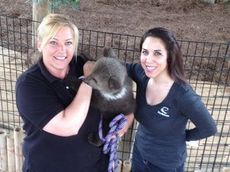 Clarissa Ramirez of EarthCam with our Hollywild Animal Park curator, Jennifer DeCarranza coddle 3-month-old Syriana Nyeff.