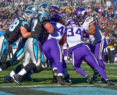 Jonathan Stewart gets some help from the Panthers offensive line as he is shoved the final yard for a touchdown.
 