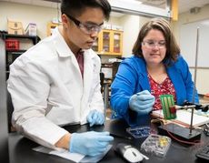 Melissa McCullough, right, works with rising senior Quan Lee on a urinalysis device she is developing as part of her Ph.D. studies.
 
