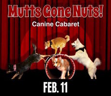 'Mutts Gone Nutts' is a four-legged canine comedy scheduled Saturday at Flat Rock Playhouse with an opportunity to adopt a rescued animal.
 