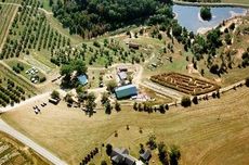 This aerial photo shows the vastness and exhibits at Nivens Apple Farm.
