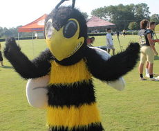 The Greer Yellow Jackets mascot will be attending school functions and athletic events for the first time in about 15 years.
 