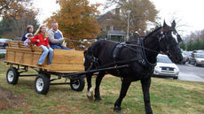 Scott Campbell of Upcountry Carriage takes a small group on a carriage ride.