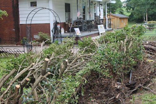 The force of the water ripped this shrubbery at a creek at Alcorn Street and Hwy. 101. Silt and sand covered a backyard and mud caked Alcorn Street. The asphalt on the bridge was torn shredded.
 
 
 