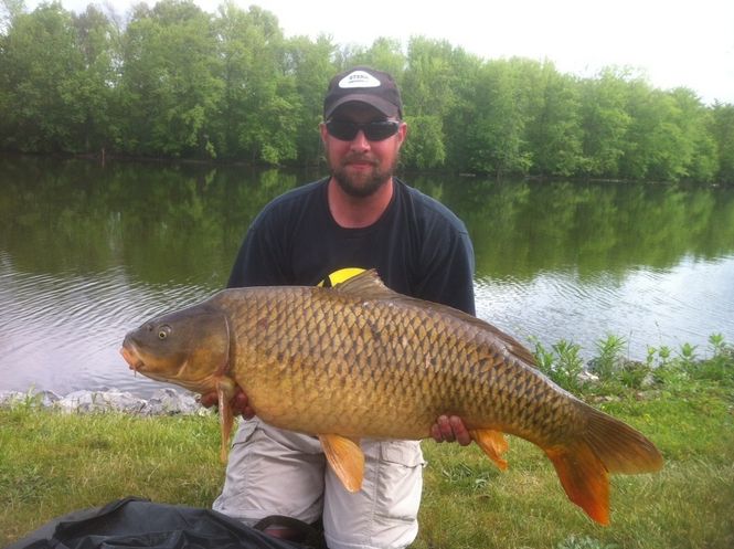 Dan Kelsey of New York shows off his 38-pound, 13-ounce common carp caught during the 2012 Wild Carp Classic in Baldwinsville, N.Y.