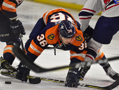 Spencer Dorowicz (36) of the Swamp Rabbits chases the puck during a faceoff.
 