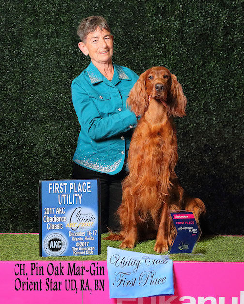 Nancy Godbey and Irish Setter Geisha took first place in the Utility division of the AKC Classic last week.
 