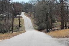 This hilly road invites some drivers on James Road to have a thrill ride barrelling down the hill and then up toward the blind curve, said property owners at last week's Planning Commission meeting.