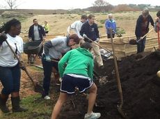 A collaboration of Greenville Tech Charter High School and GTC students and faculty have launched a community garden.
 