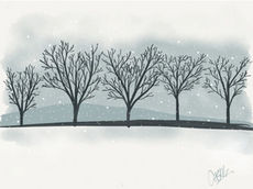 Cheryl Childers drew trees that were dark and bare contrasted by the stark white of untouched snow. The design was chosen the winner for the Festival of Trees wine label.