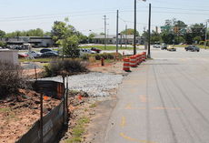 The entrance into ALDI will be from Mt. Vernon Road, near a traffic light at Wade Hampton Blvd. and W. Poinsett Street.
 
 