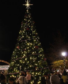 The Christmas tree lighting in City Park drew one of the largest crowds to the annual event, according to city police.