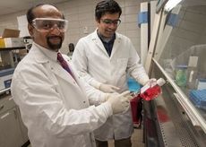 Naren Vyavahare has received $1.47 million from the National Institutes of Health to advance research into abdominal aortic aneurysms. 
 