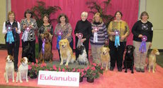 Nine of the 18 obedience teams fielded by Connie Cleveland’s Dog Trainers Workshop from Simpsonville earned ribbons in the AKC Obedience Classic in Orlando, Fla.
 