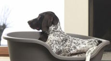 Dog beds are among the products made by Moderna Plastics.
 