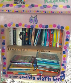 Little Free Libraries built by the Girl Scouts.
 
 