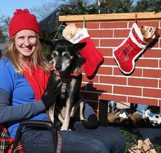 Katelyn holds Ollie, a dog up for adoption, during Sunday's Greer Christmas Parade.
 