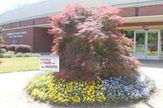 Greer CPW was selected the April Business Yard of the Month by the Greer Council Garden Club.