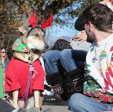 Man's best friend might be thinking his master was under dressed for Sunday's Greer Christmas Parade.
 
 