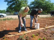 Dottie and Wayne Morrow tended to their garden and watered it  Saturday morning at the Community Garden. The land for the garden has been donated by Greer Memorial Hospital.