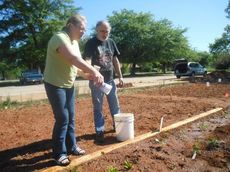 Dottie and Wayne Morrow were among the core group of planters two weeks ago. They removed debris from their plot and began planting their garden. Dottie said half of the food they harvest will be donated to the Soup Kitchen.