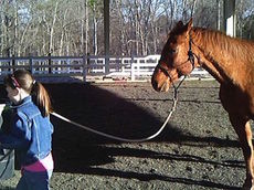 The specially trained therapists from Spartanburg Medical Center utilize Equine Assisted Therapy (E.A.T.), a licensed form of therapy to treat children with autism, cerebral palsy, developmental delays, visual motor integration difficulties and more.