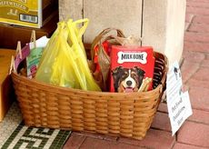 A pet food drive will be held for dogs and cats.
 