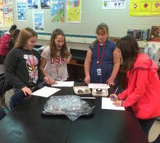 Riverside students studying animal comparisons in labs
