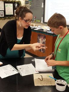 Sixth-grade science classes study worms.
