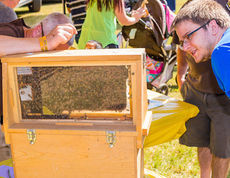 The value of honey bees were shared with visitors.
 