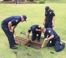 The Greer Fire Department rescued 12 baby ducklings from this overflow drain at the city pond.
 