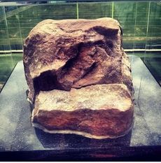 Clemson police say Howard's Rock was damaged on the night of June 2 when its protective casing was destroyed and a portion of the rock was chipped away.