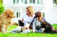 Affordable pet care at home