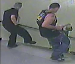 Upon making entry into Greer High School, the unknown subjects busted several other windows in the hallway and in the cafeteria area. Police are seeking help in identifying these two individuals.