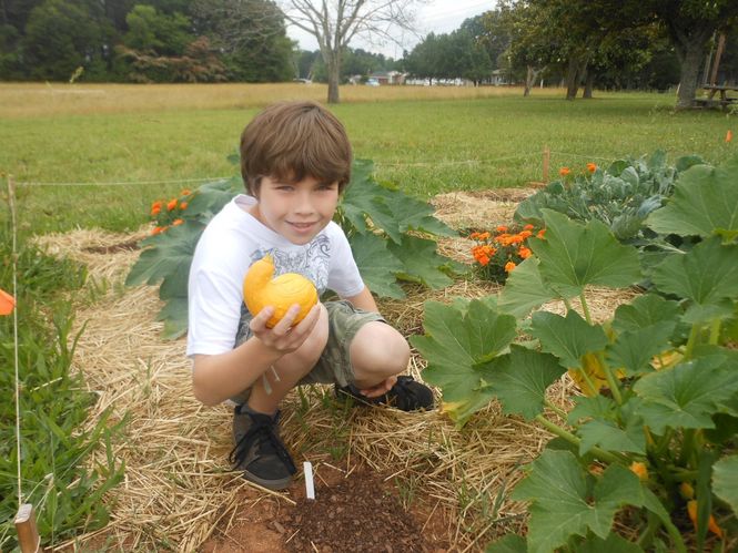 Brendan Lopes celebrated his first afternoon out of school by visiting Cheryl Moore's garden and picking a squash. Brendan graduated from the third grade today. Carol Dixon, grandmother of Alyssa and Brendan visited the garden today.