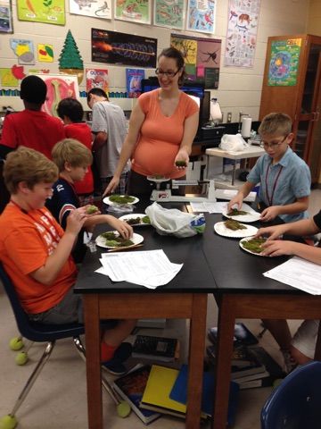 RMS students had high praise for the plant structure lab.